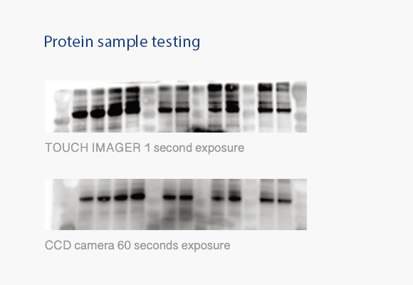 1727245071629846.jpg p02-s04-pic4-1.jpg