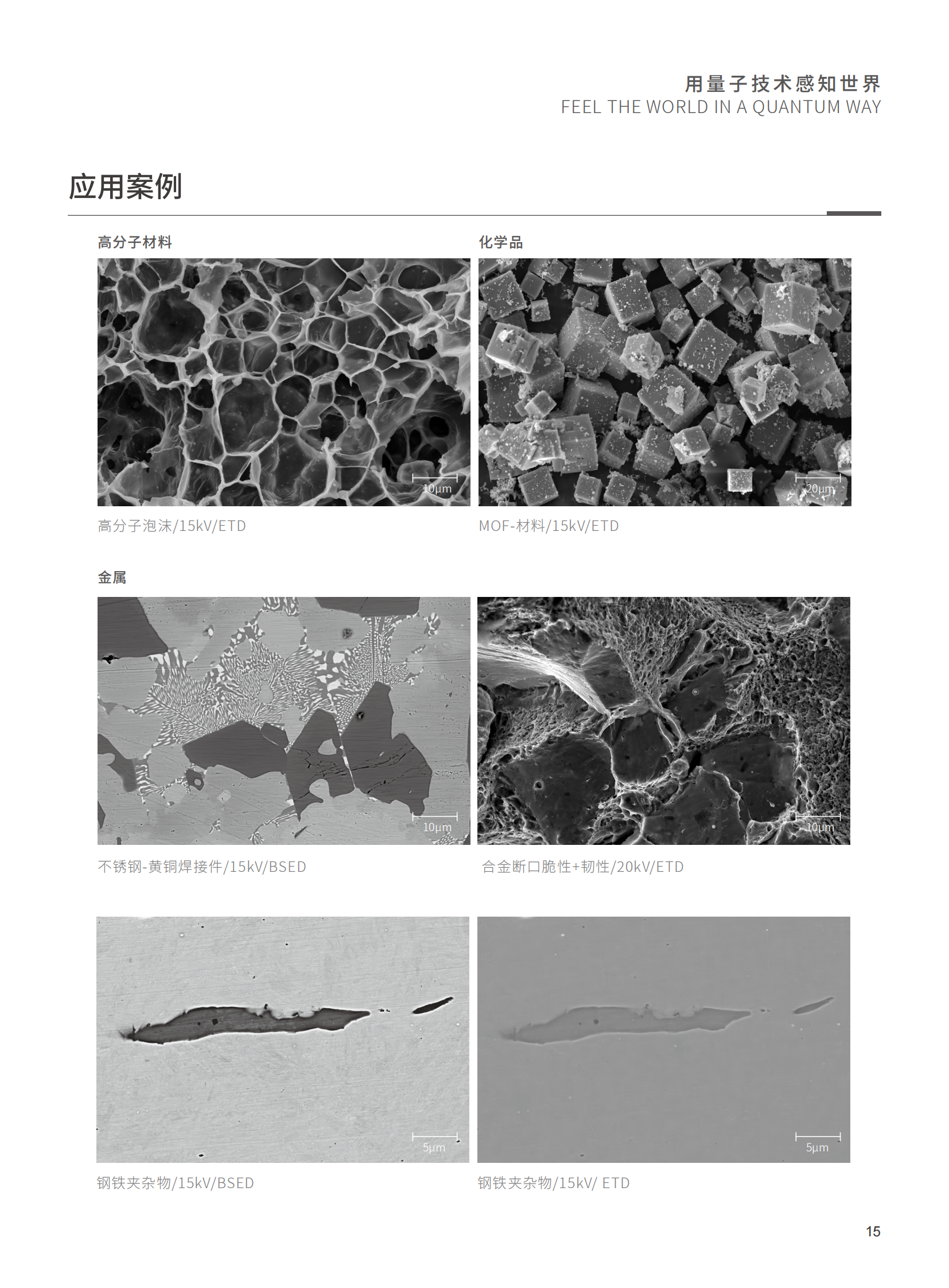 【国仪量子】扫描电子显微镜合（202403112）_16.png