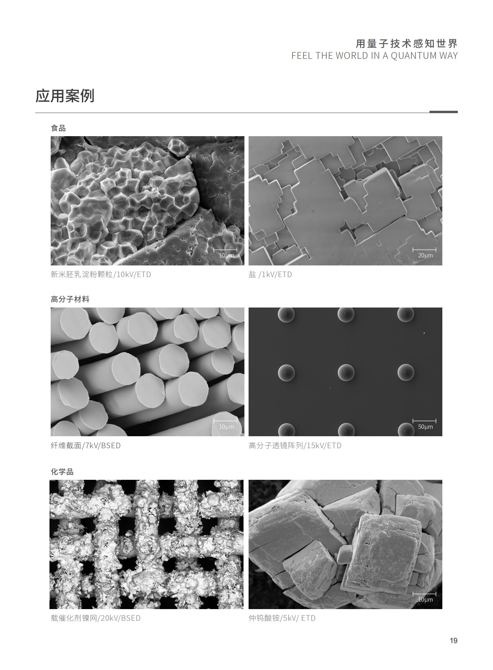 【国仪量子】扫描电子显微镜合（202403112）_20.png