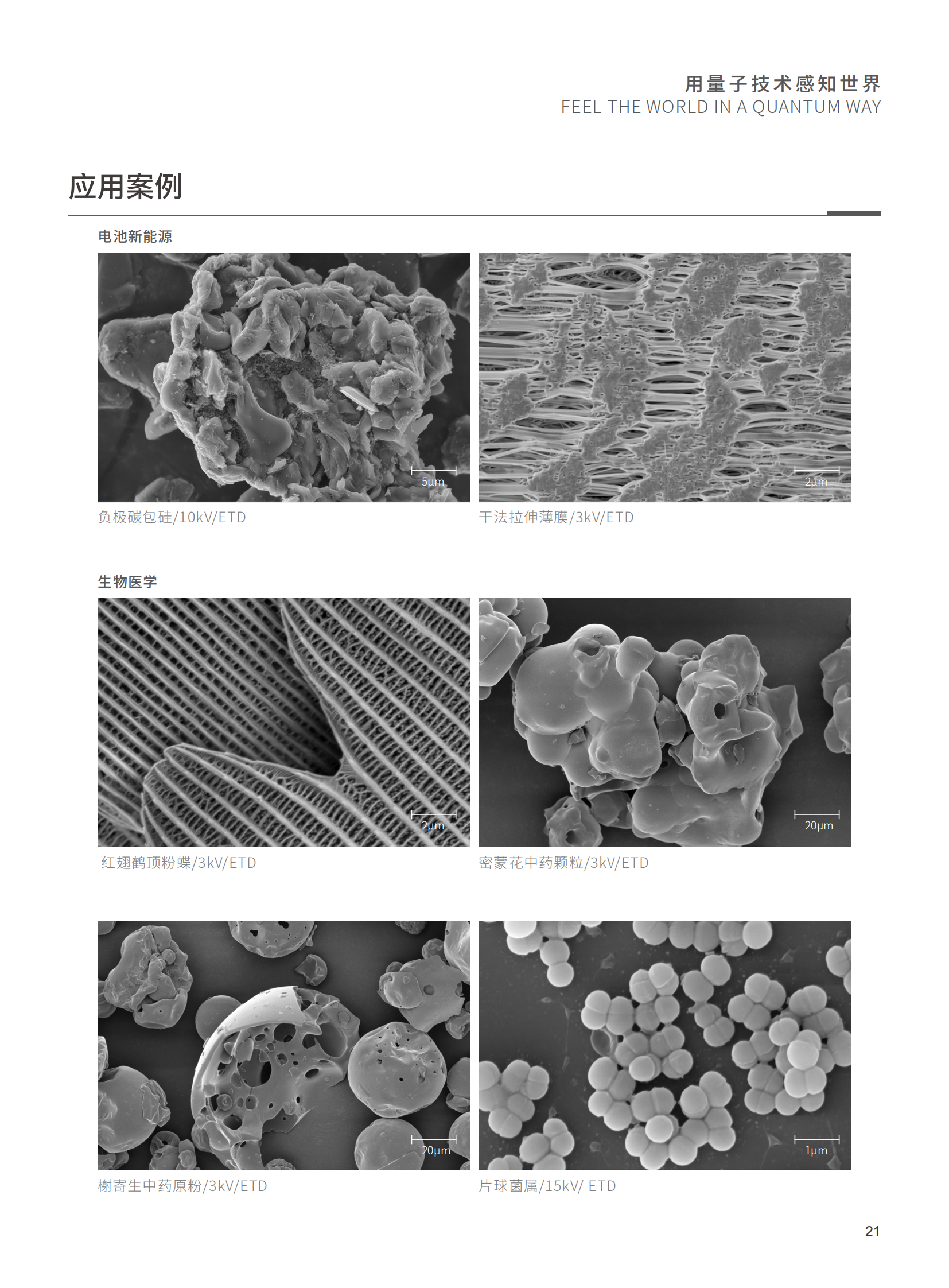 【国仪量子】扫描电子显微镜合（202403112）_22.png