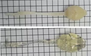 1727972407128389.png 4.png