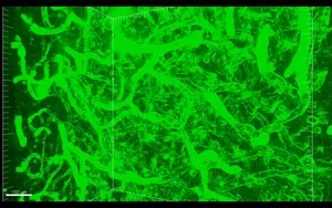 1727972418211156.png 5.png